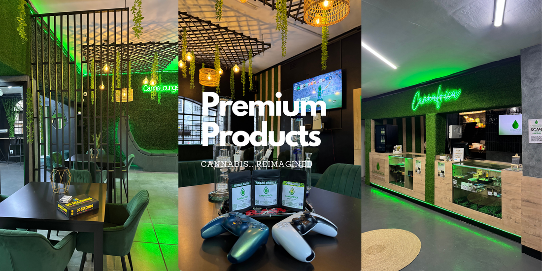 Things to Do in Cape Town: Why Cannafrica Claremont Should Be on Your List