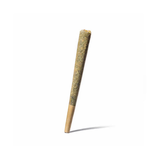 Indoor Cannabis Pre-Roll Custom Vendor